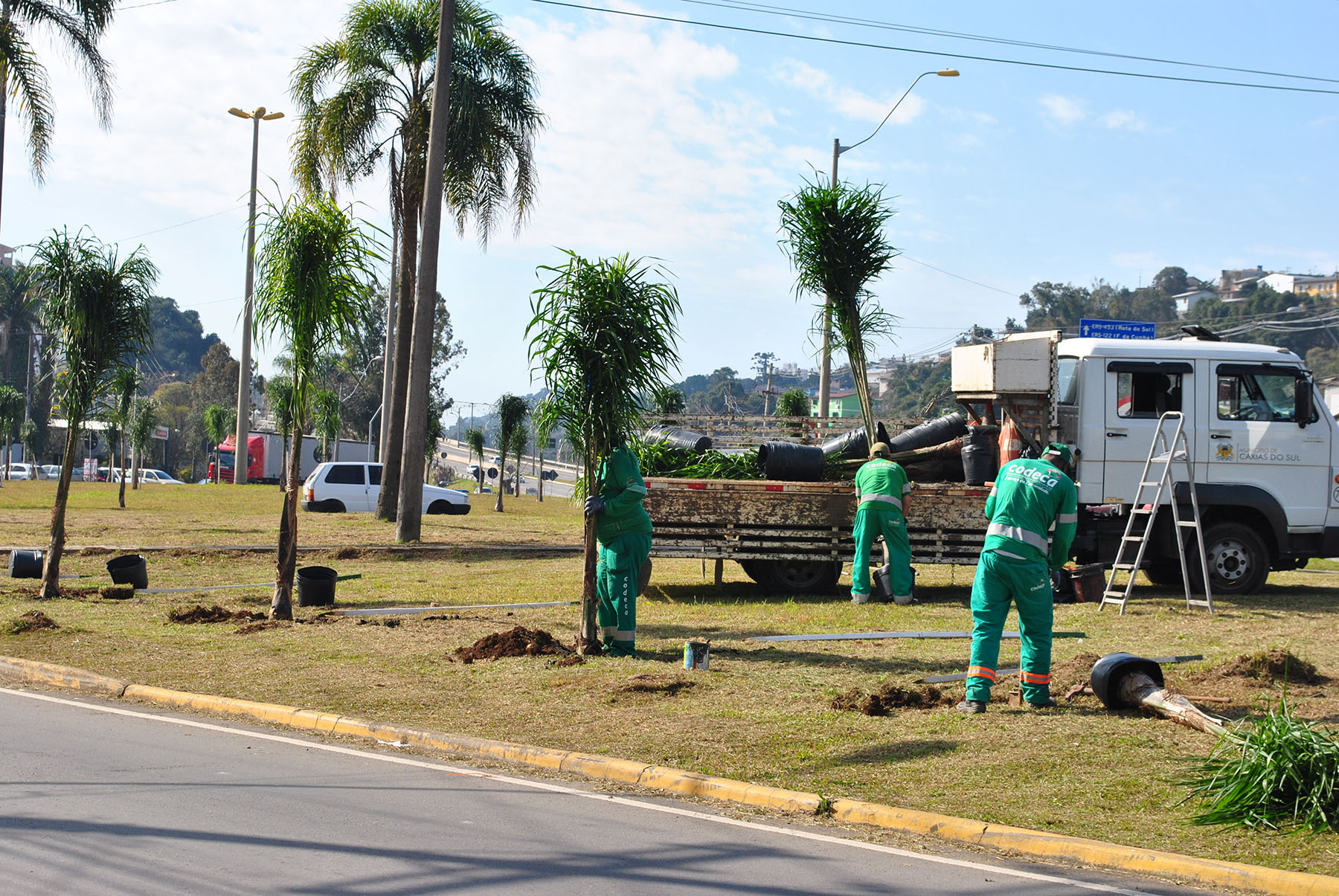  Prefeitura planta mudas de jerivás em rotatórias