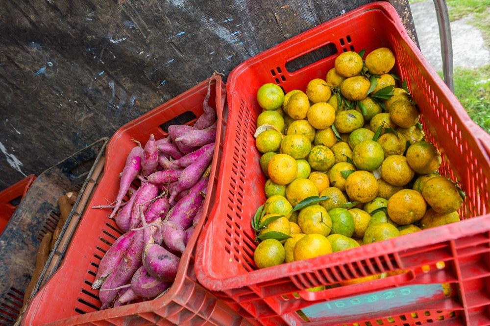  Programa Troca Solidária retorna neste sábado