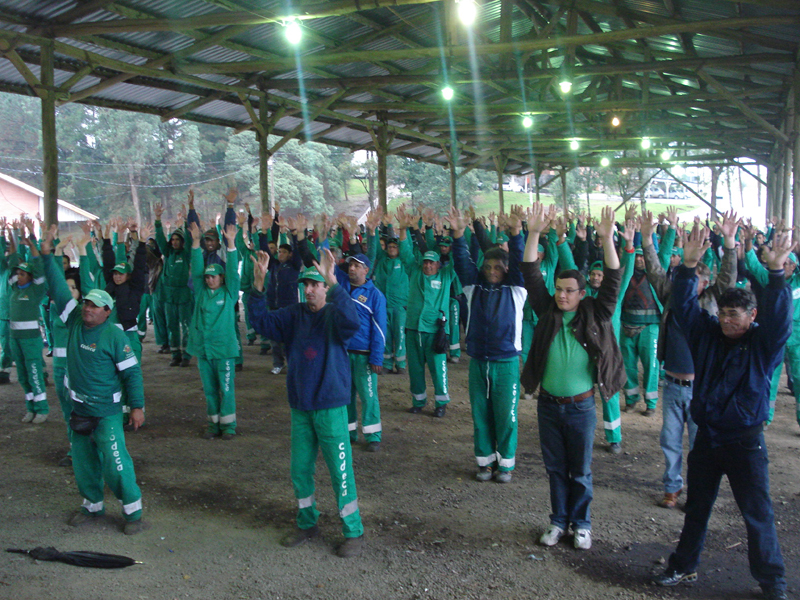  CODECA participa do Dia do Desafio com atividade física e plantio de mudas