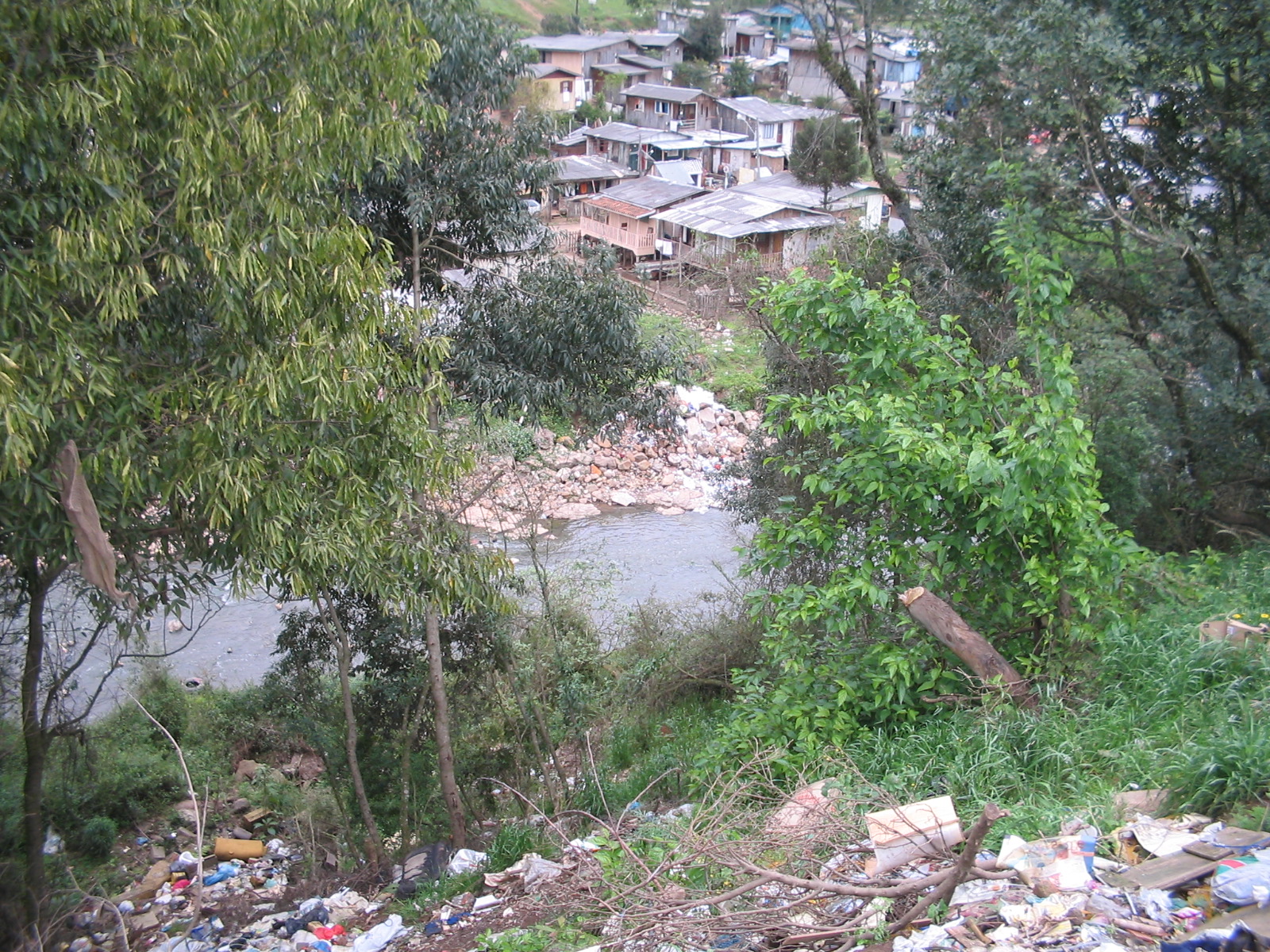  CODECA promove mutirão de limpeza no Reolon