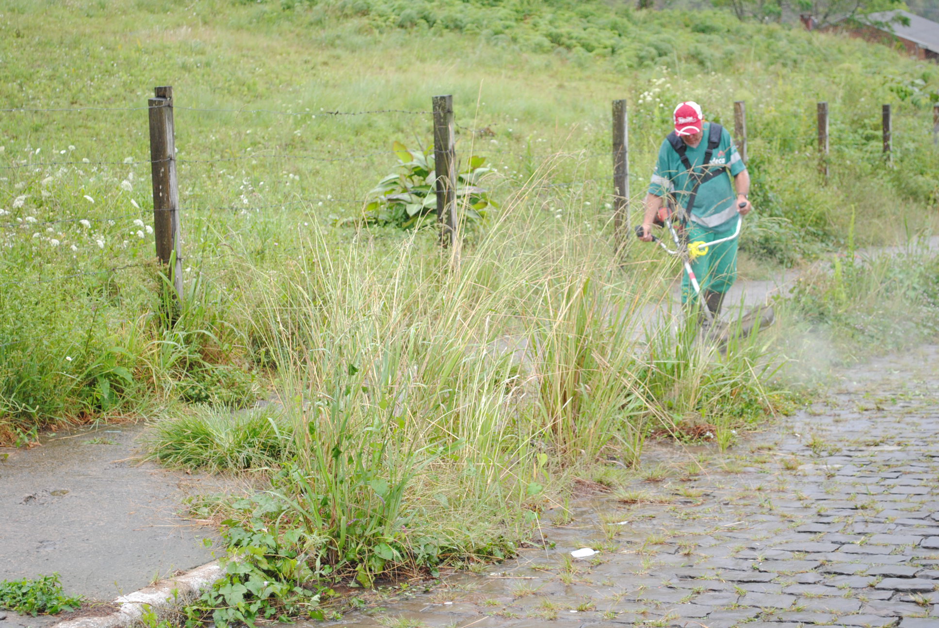  CODECA amplia debate sobre controle de ervas invasoras