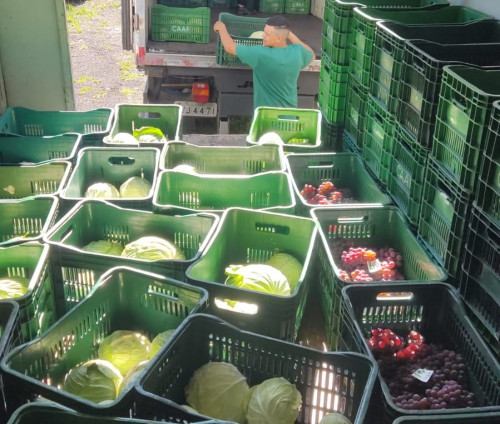 Mais de 3,3 mil famílias já foram beneficiadas pelo Troca Solidária