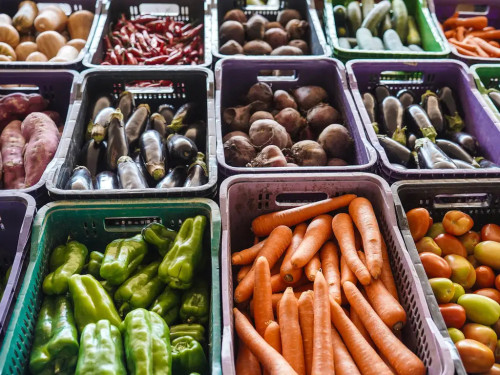 Quase 9 mil famílias foram beneficiadas pelo Troca Solidária neste ano