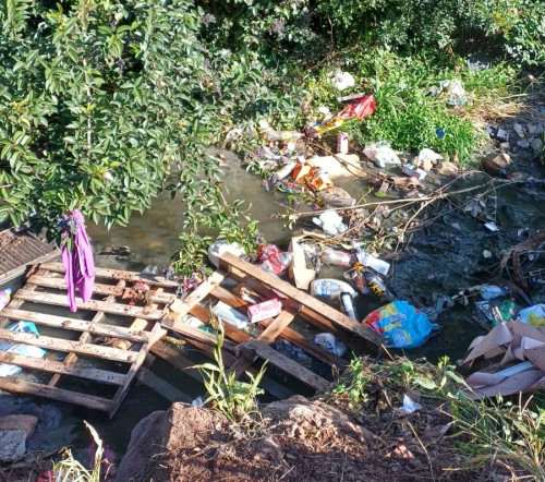 Grande quantidade de lixo é encontrada novamente no bairro Cânyon